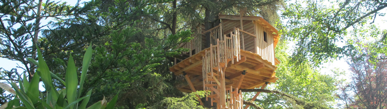 Comment construire une cabane dans les arbres ? - Foret suspendue