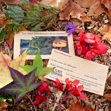 Bon cadeau insolite_2 Bon cadeau insolite_2