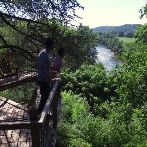 riviere cabane vue